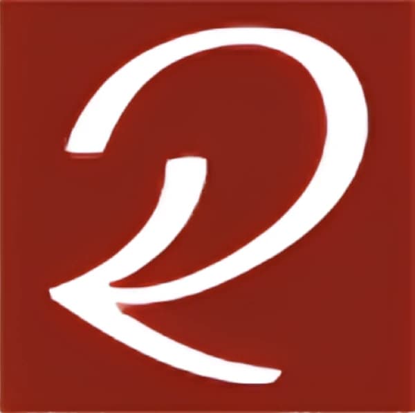 ronzonicompany